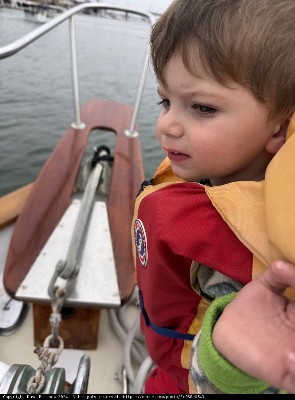 Adventures Afloat: Wesley's Day at Sea