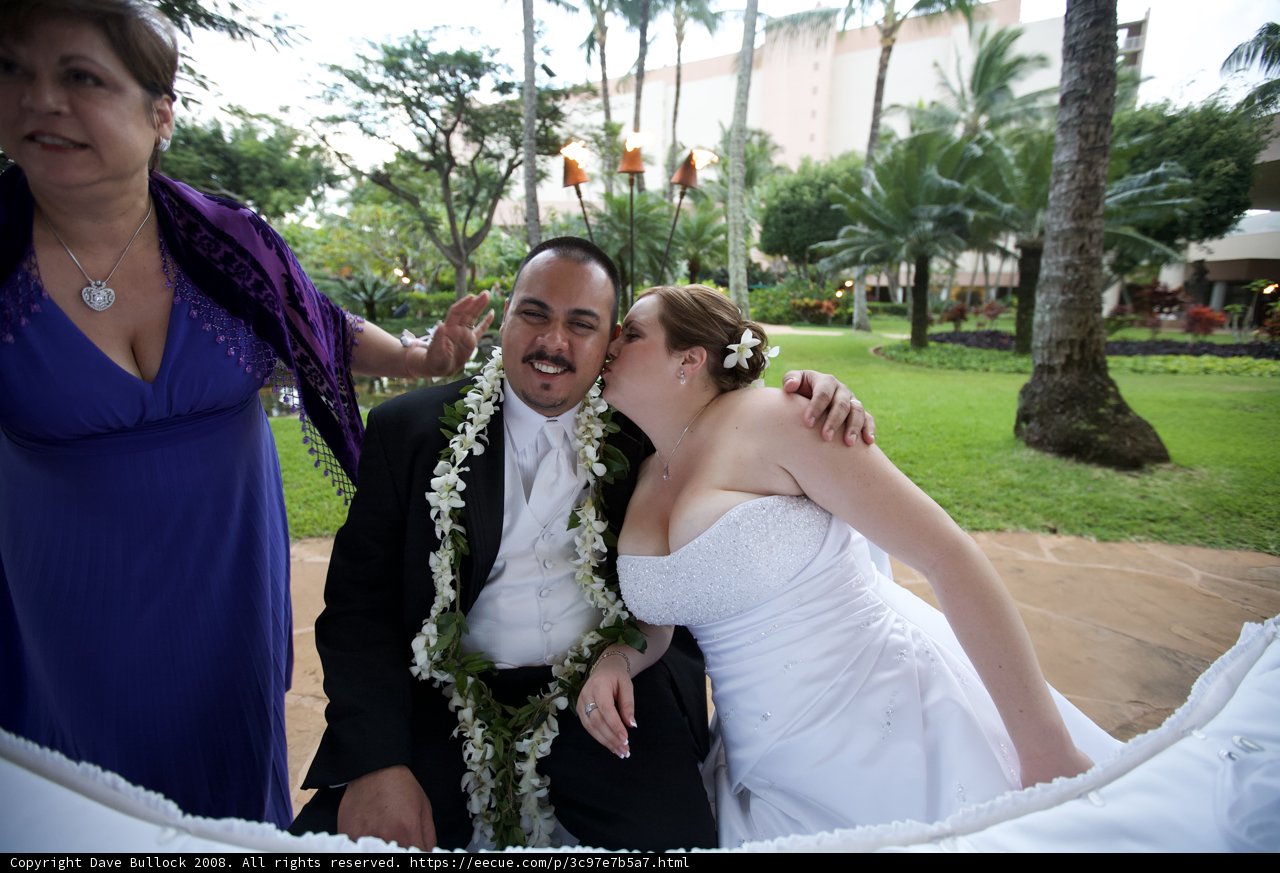 A Romantic Kiss Under the Hawaiian Palms