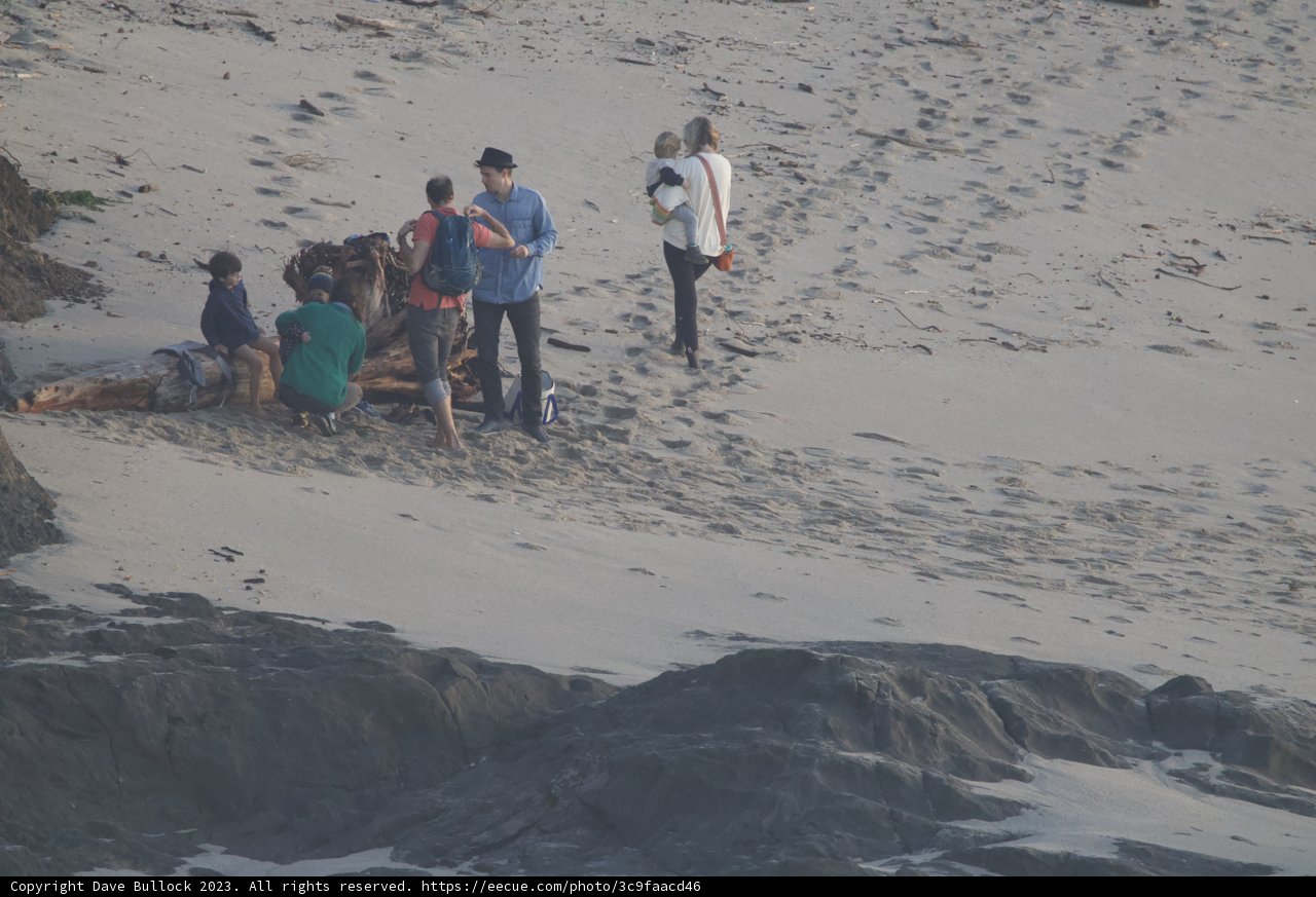 Embrace of Wilderness: The Beach Adventure 2023