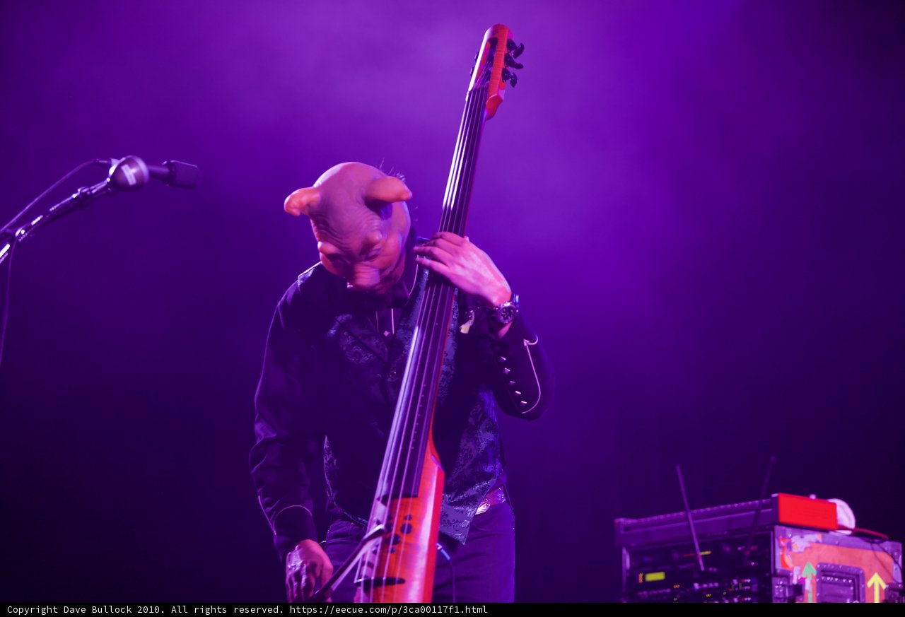 Bass Playing Behind the Mask