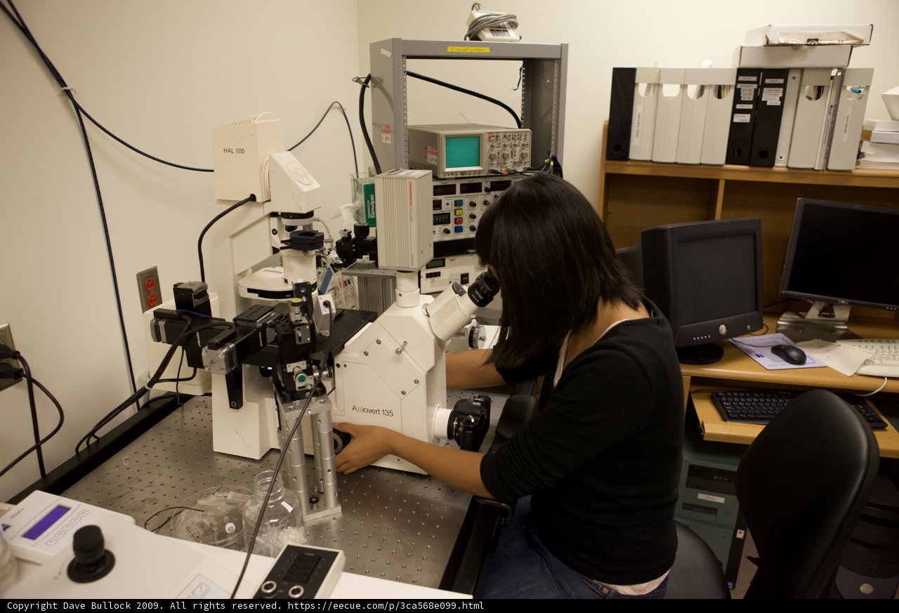 Microscopic Observations