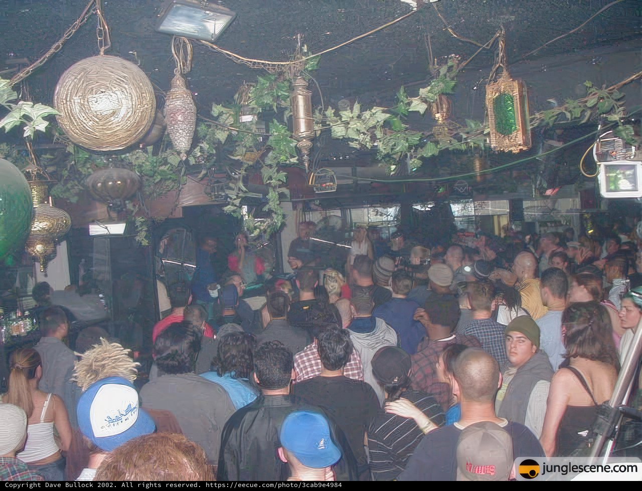 Nightclub Vibes