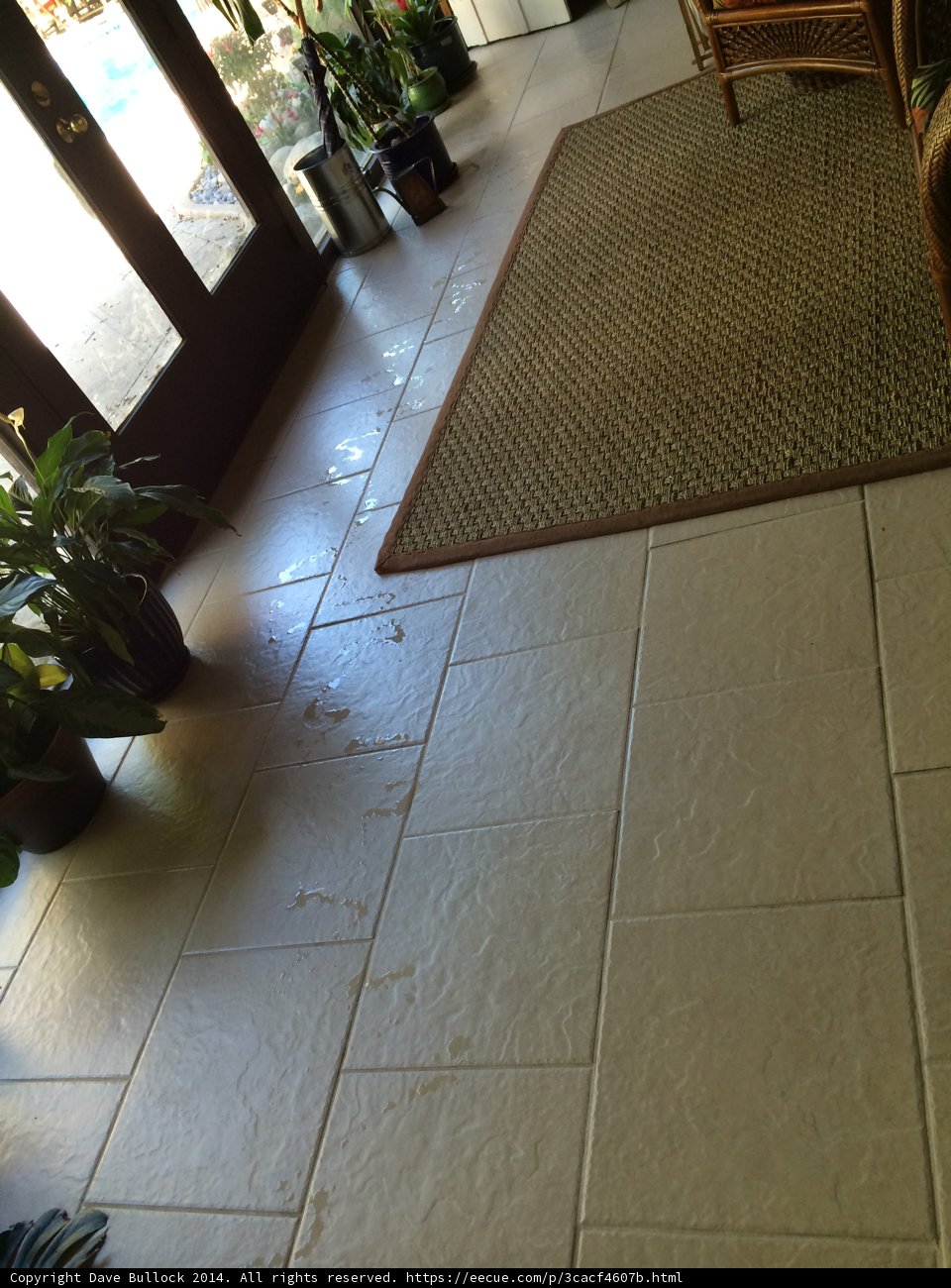Walkway Oasis
