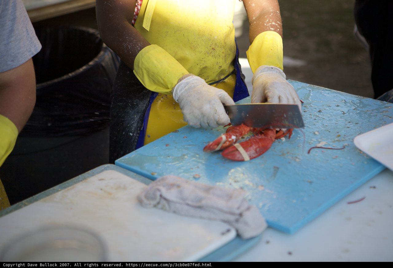 Lobster Cutting 101