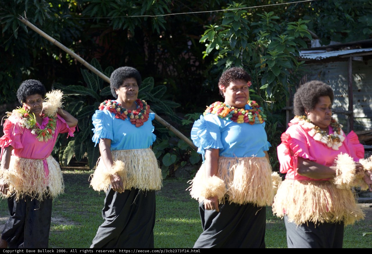 Grass Skirt Hula Dance
