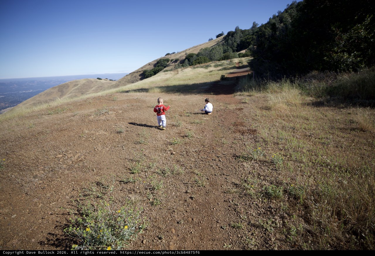Two Children Exploring the Hillside at Mount Diablo