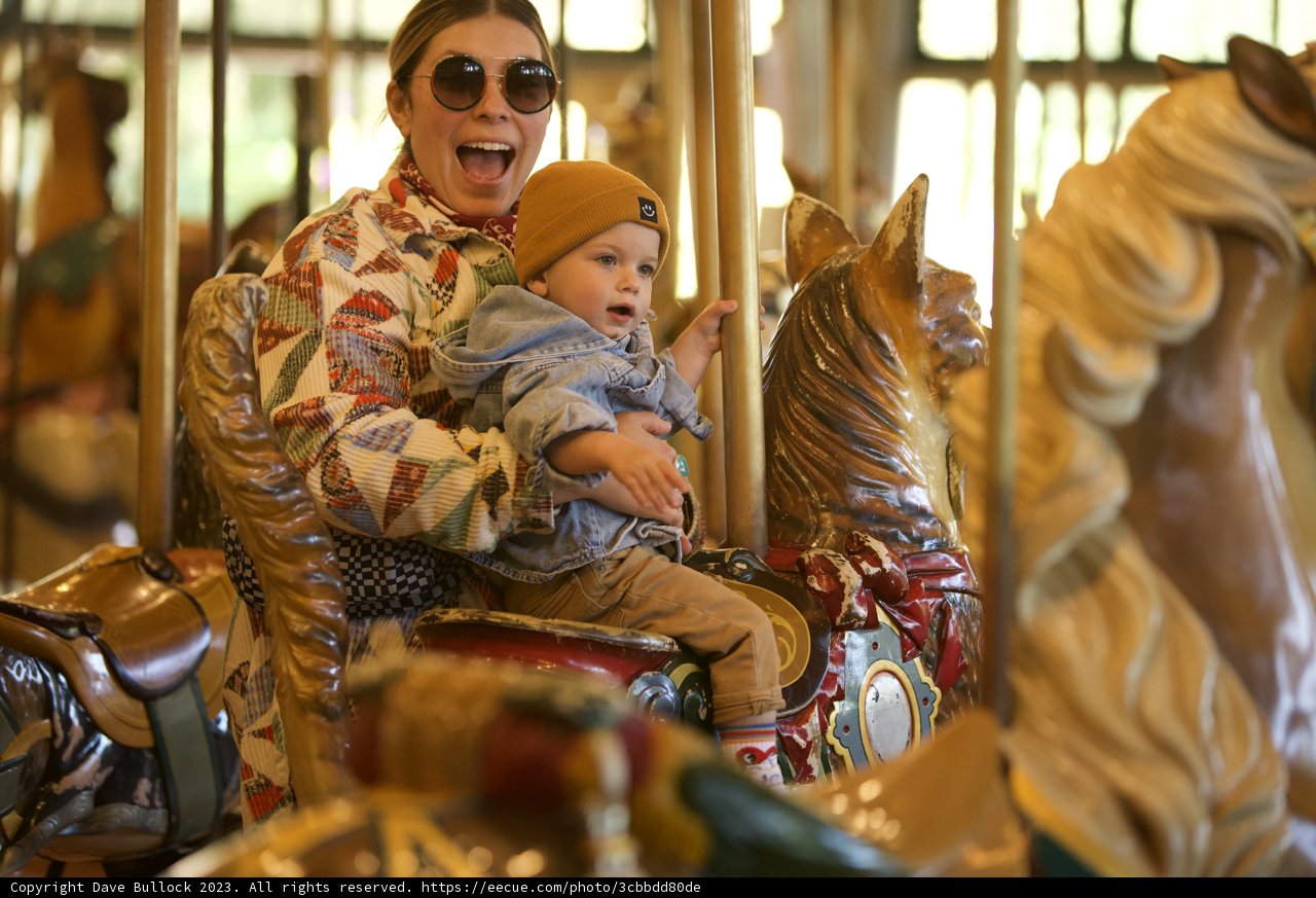 Sunlit Carousel Moments at SF Zoo