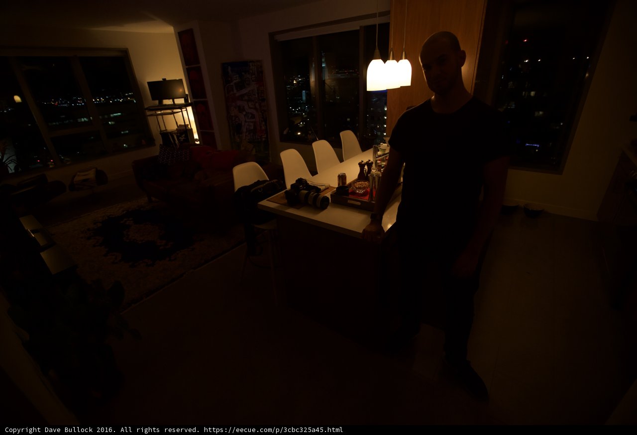 Moody Living Room