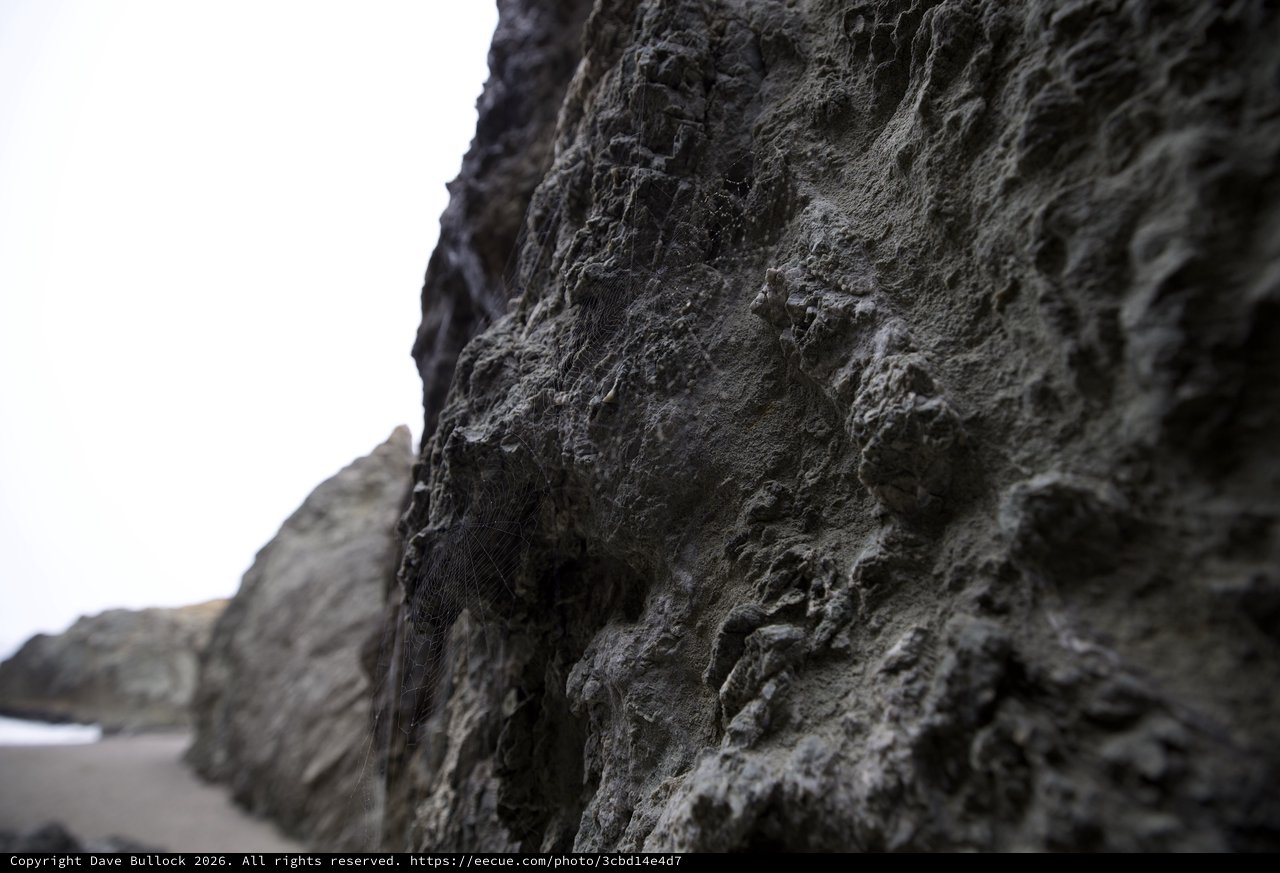 Ancient Coastal Cliffs Draped in Spider's Silk