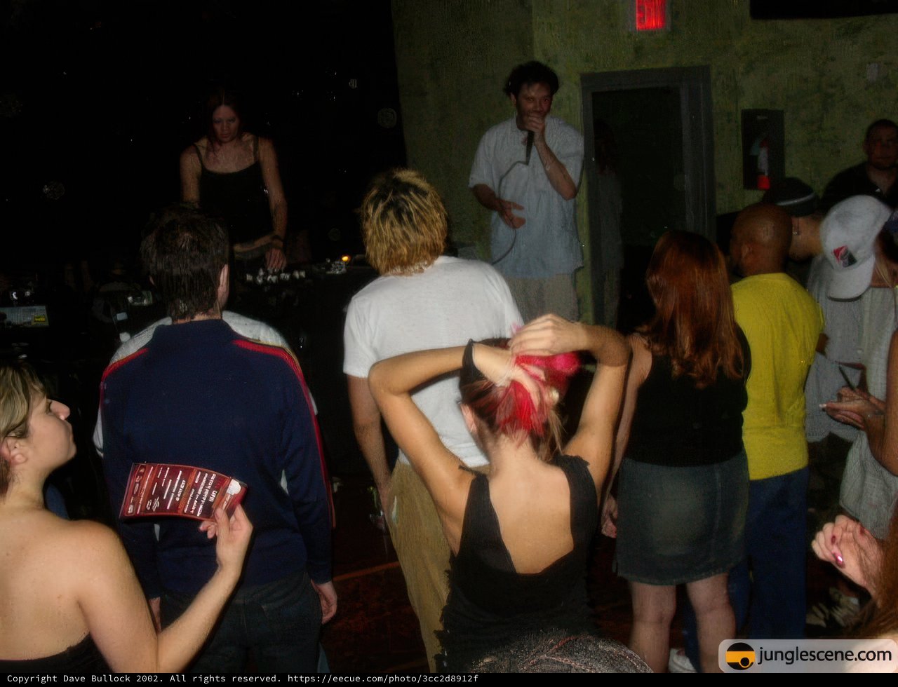 Nightlife at the Disco