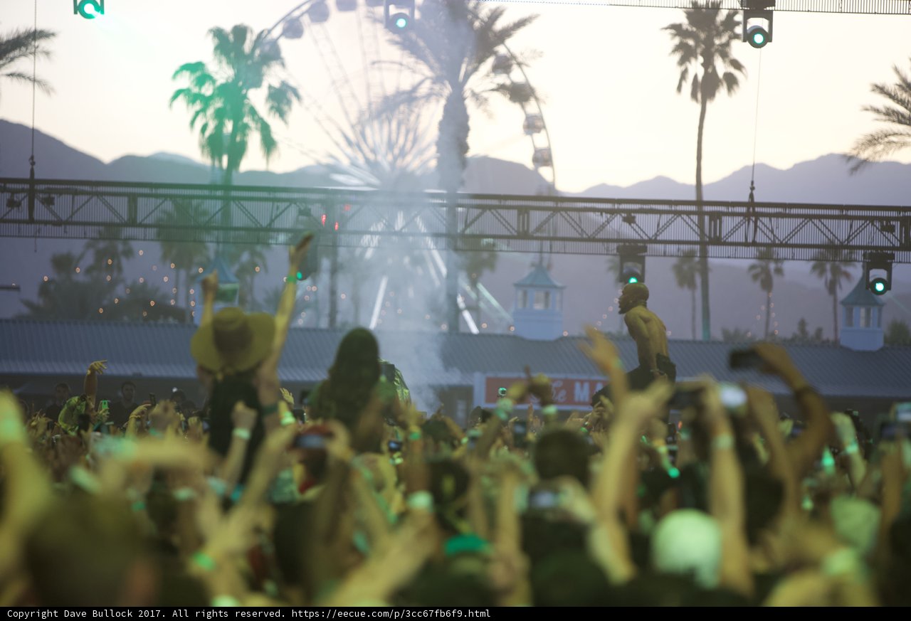 Dancing under the Palms