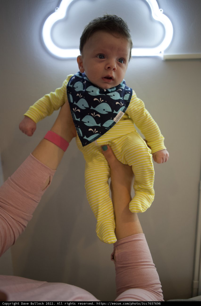 Wesley's Second Month Journey: A Delightful Portrait