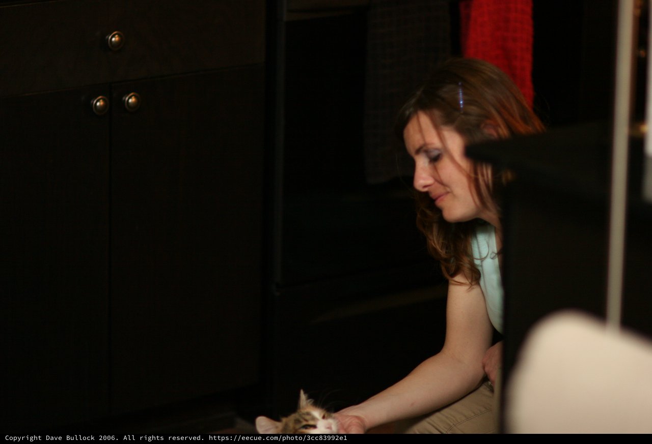 Woman Tenderly Petting a Kitten in Dim Light