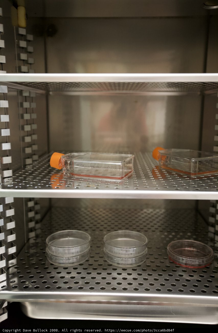 Organized Containers in Refrigerator