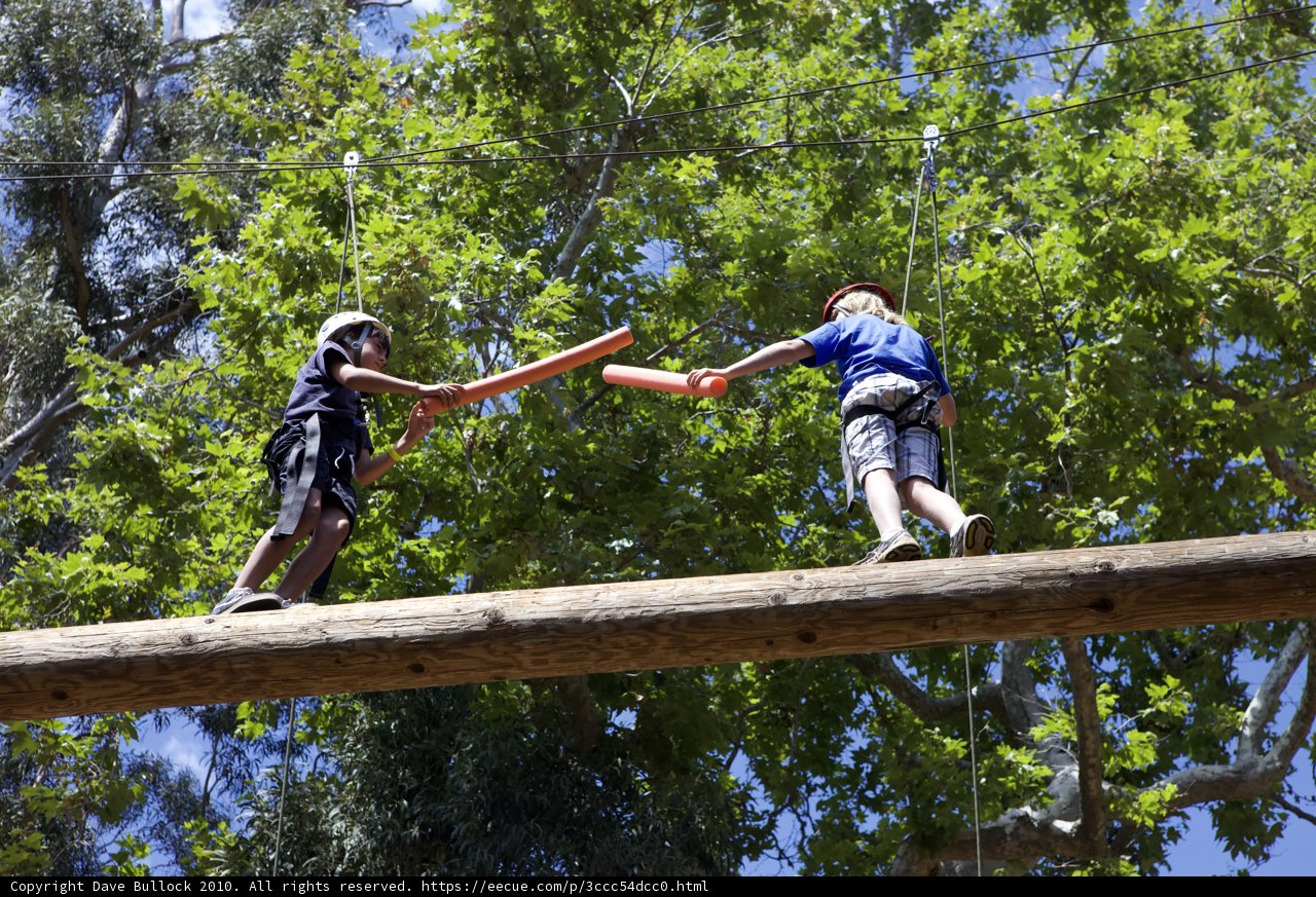Crossing the Wild Woodlands