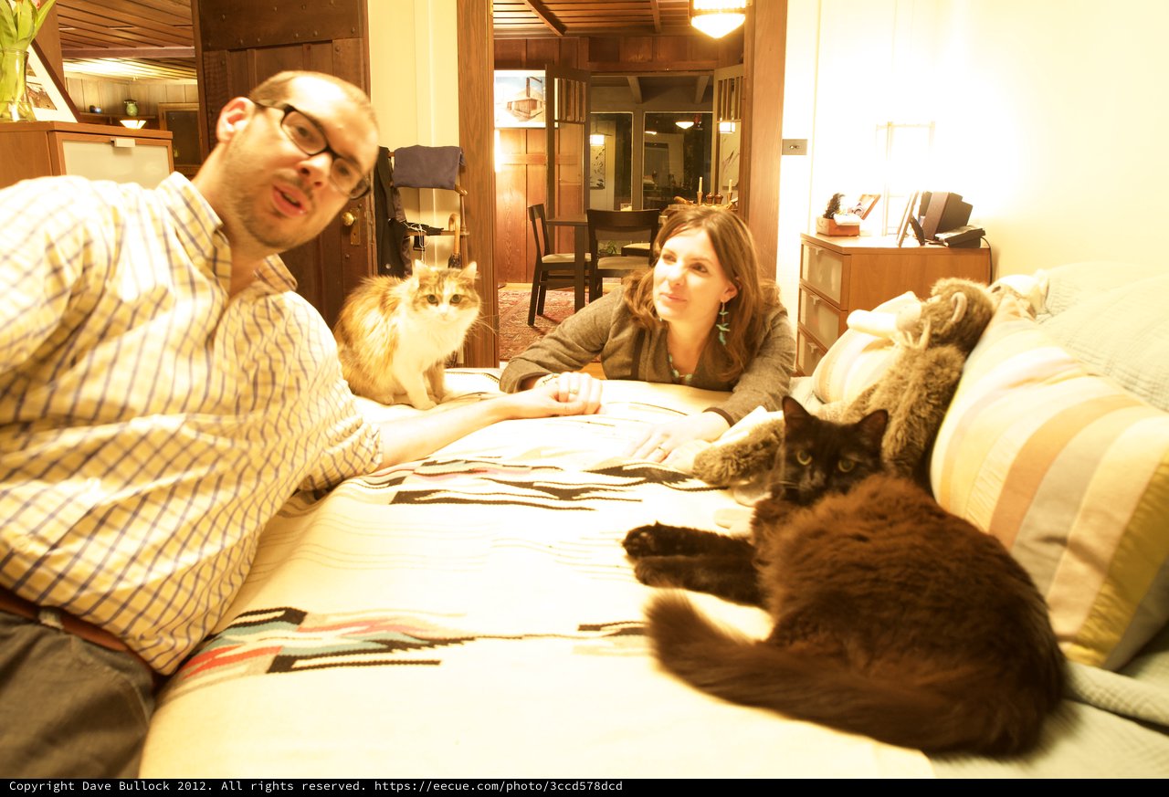 Couple Relaxing on Bed with Two Cats