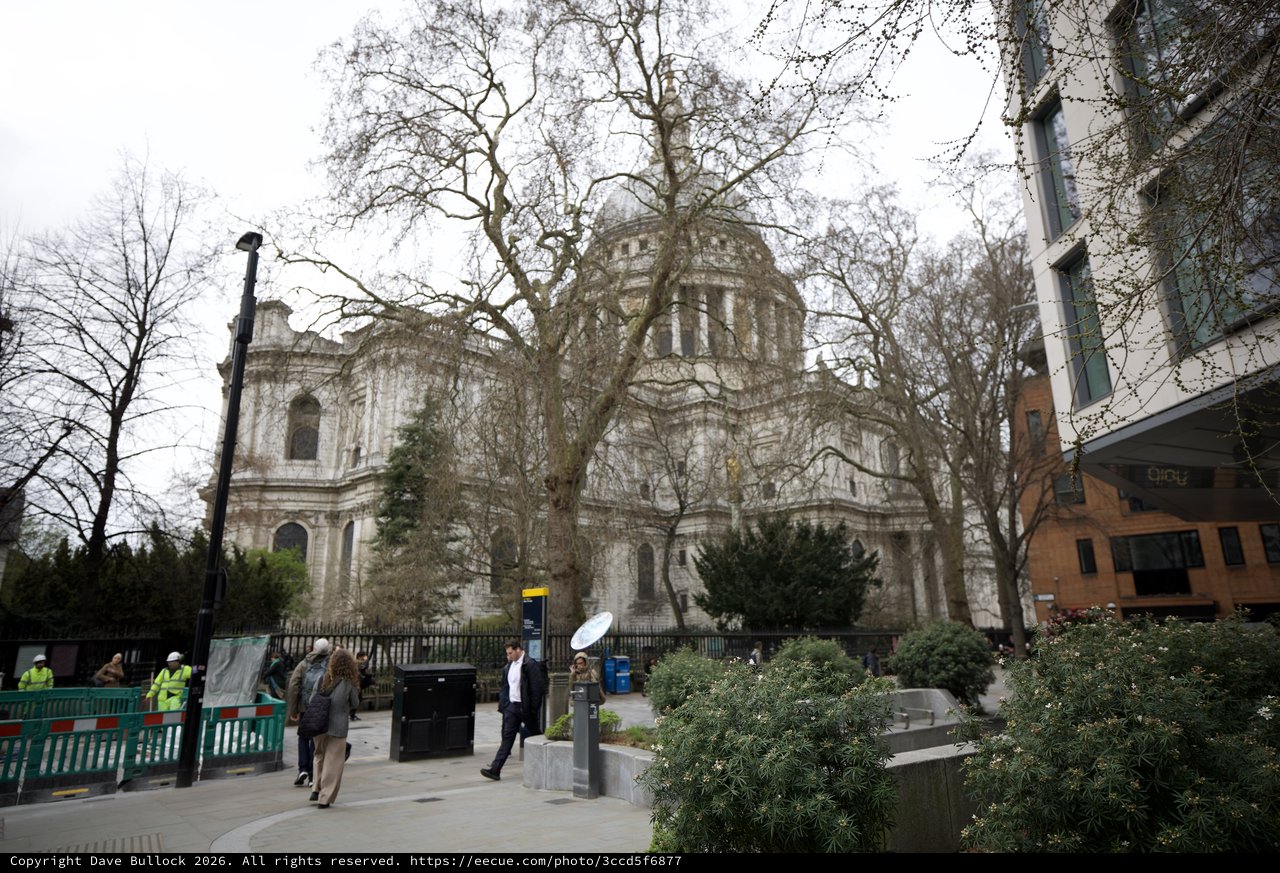 St Paul's Cathedral Through Bare Winter Trees