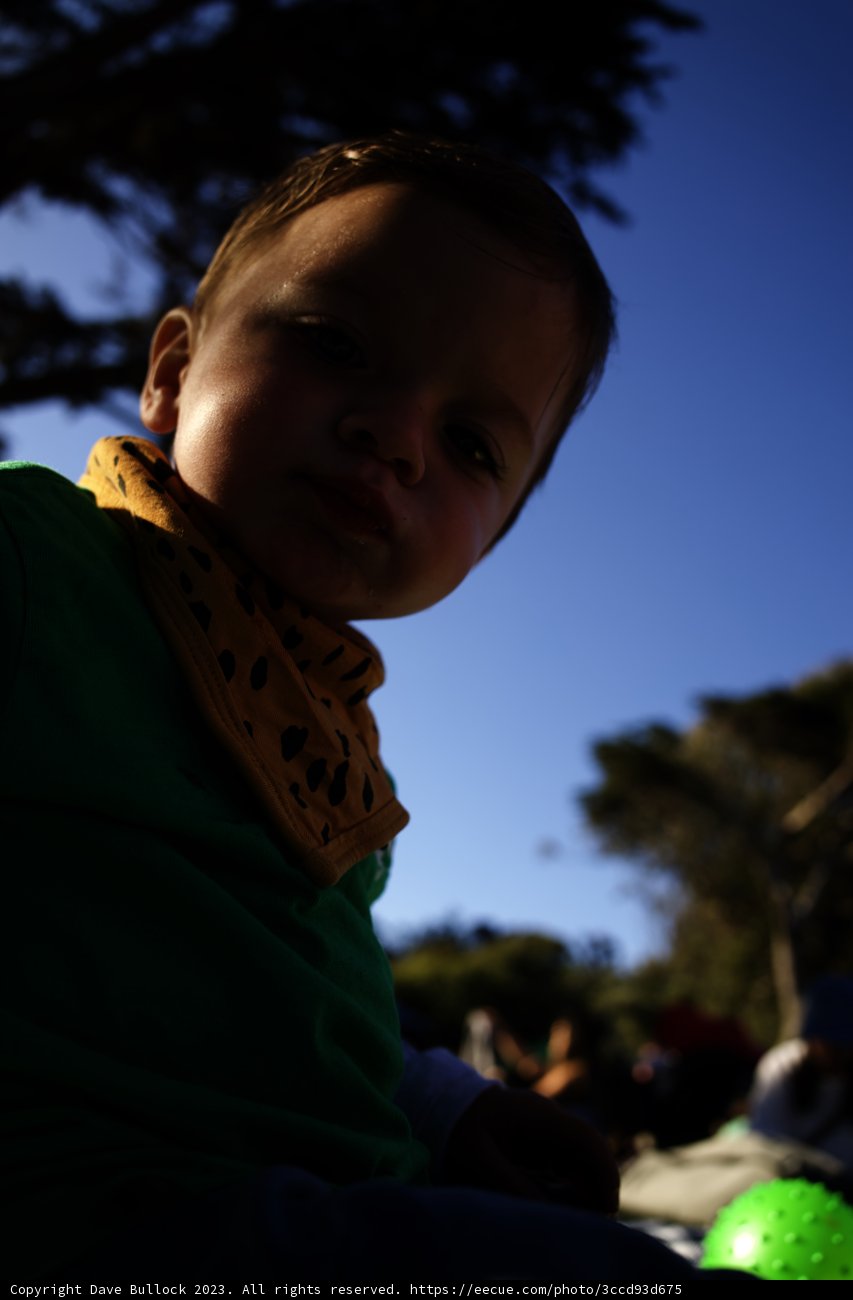Summer Day at Delores Park