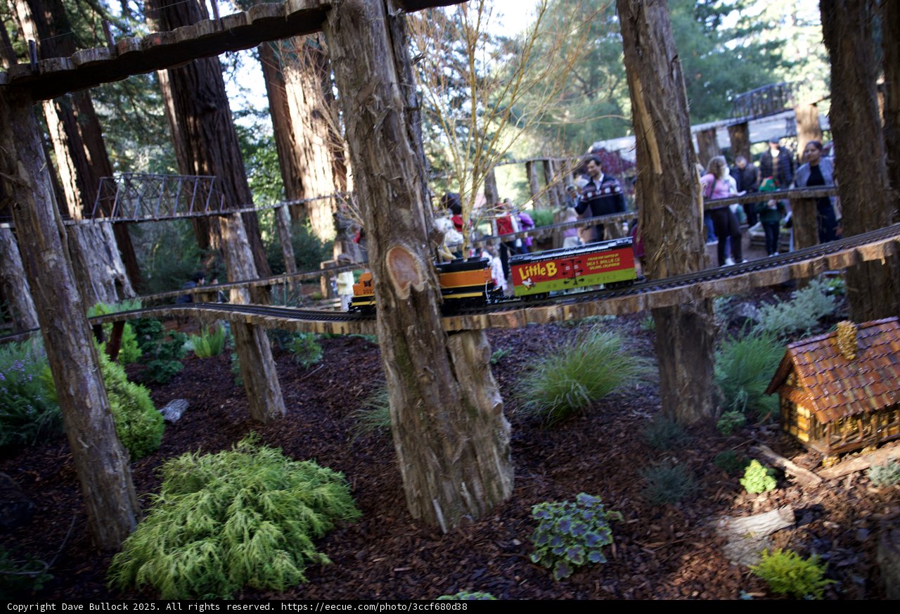 Woodland Railway Adventure