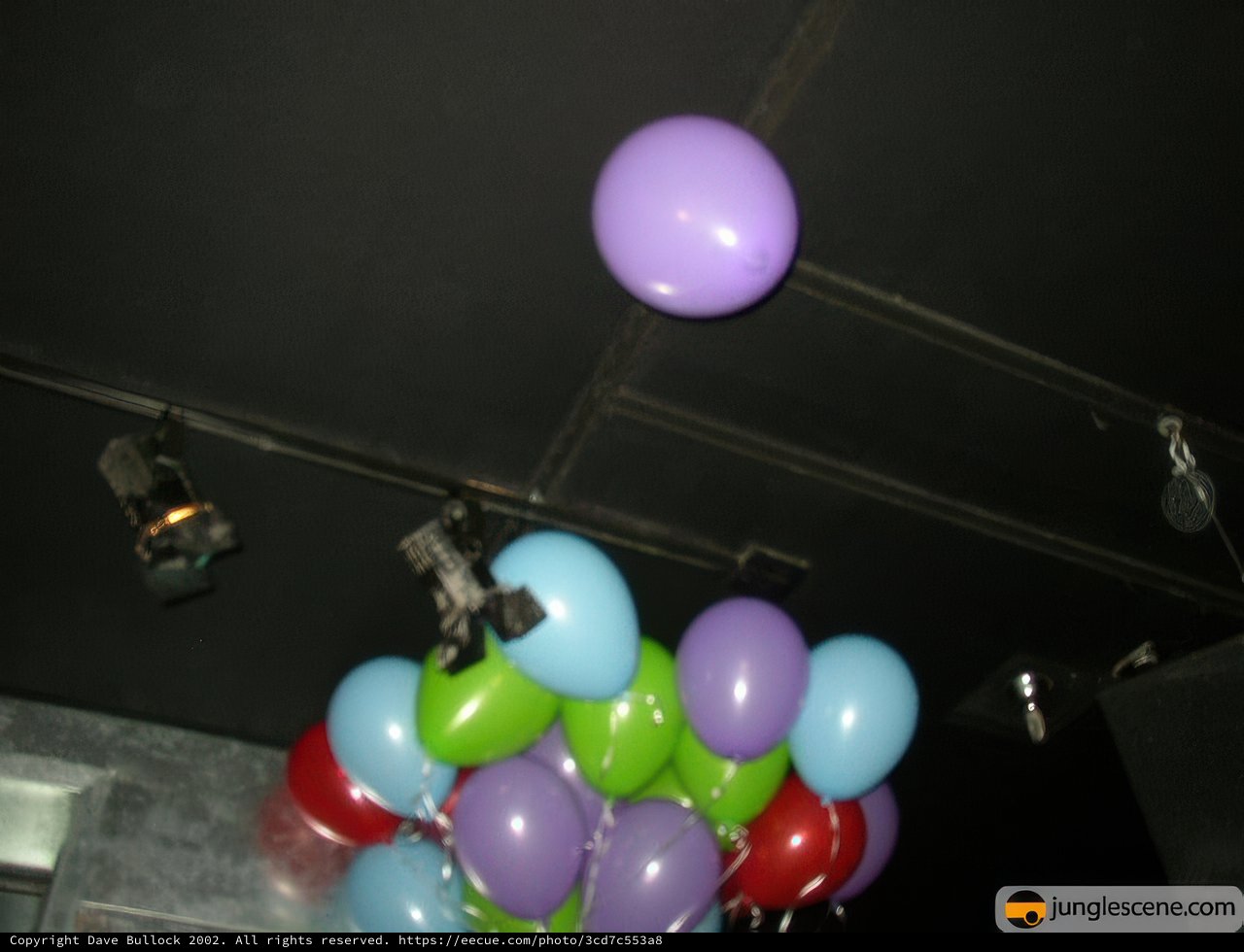 Floating Festivities