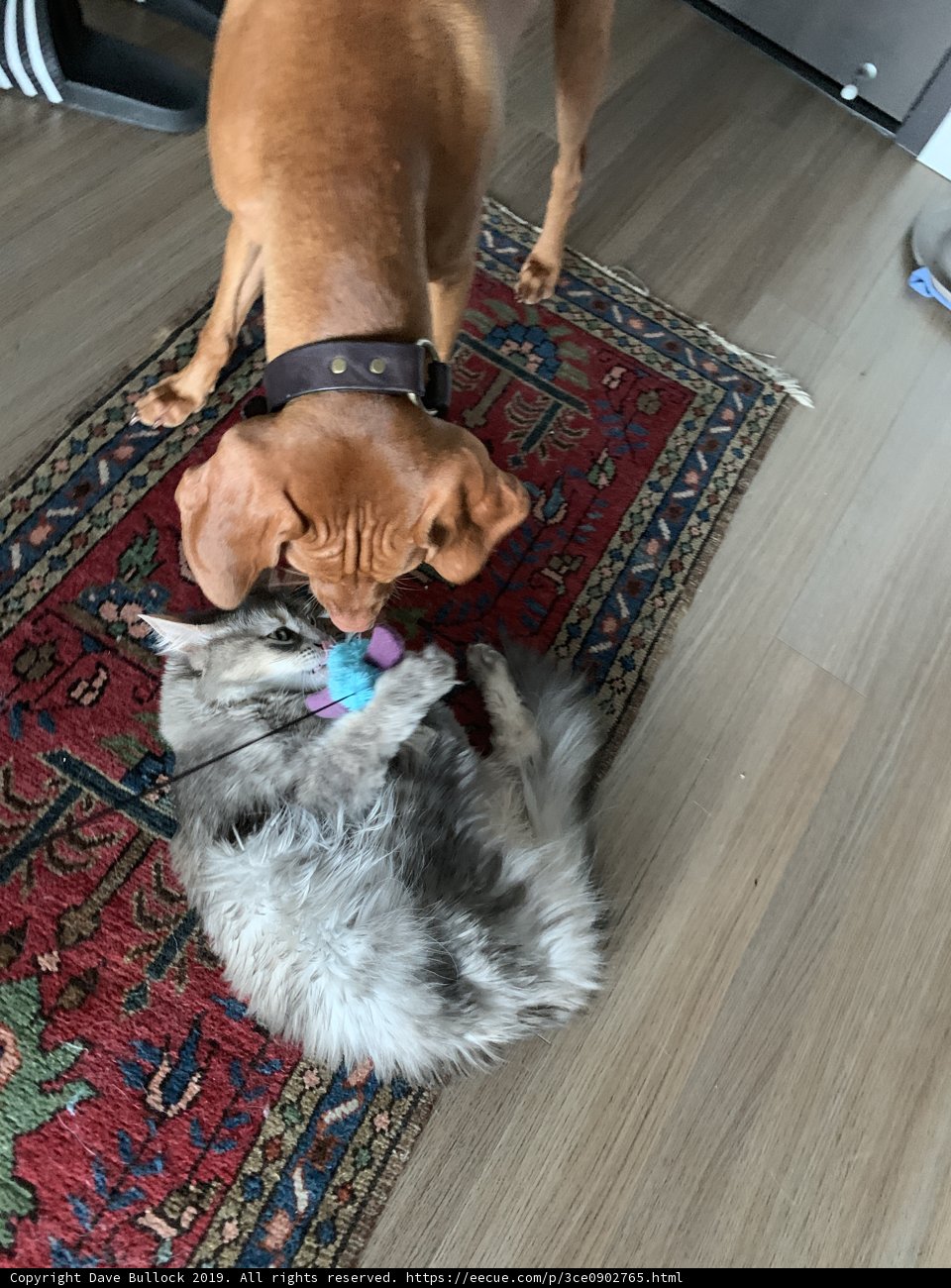Playtime Pals