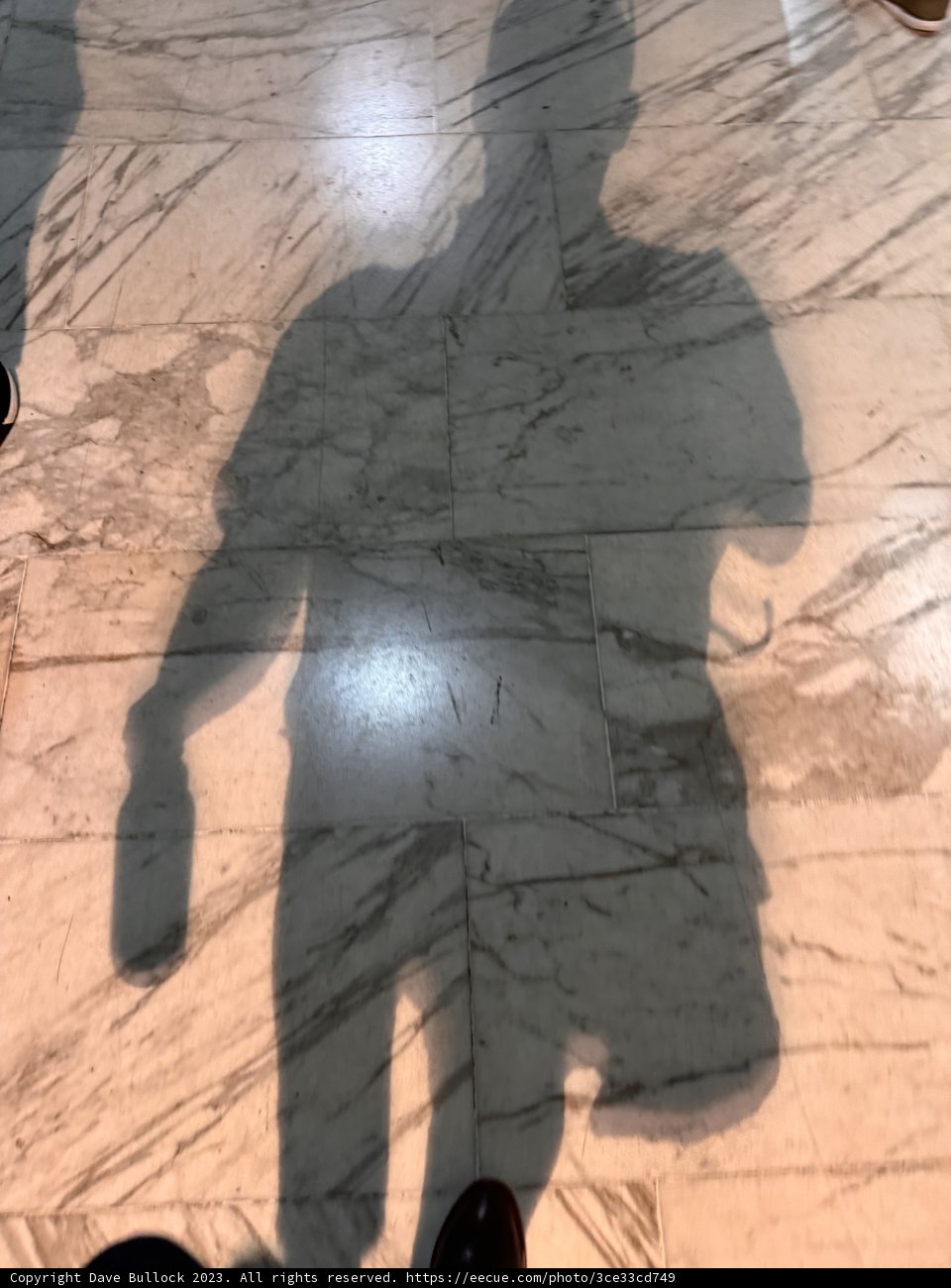 Echoes of Presence: A Silhouetted Stand
