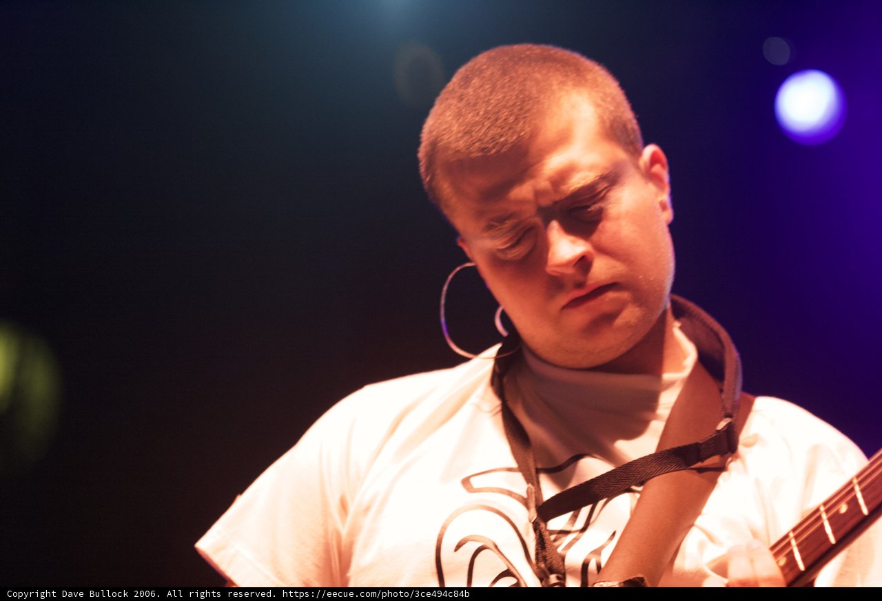 Spotlight on the Guitarist