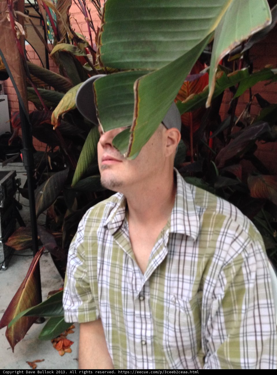 Hat-Topped Man Amid Foliage