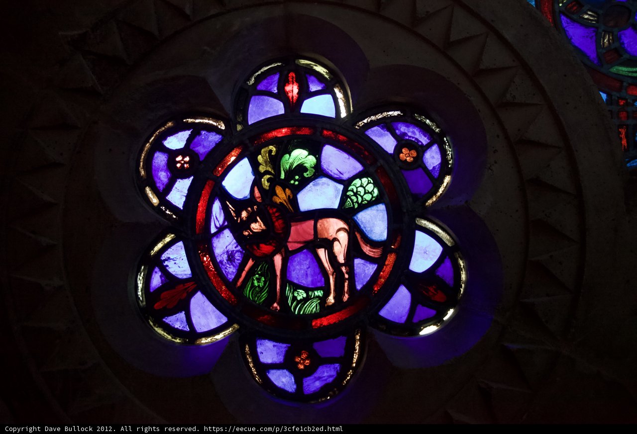 Galloping through Stained Glass Art