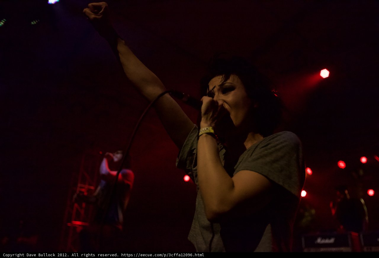 Electric Lady sings into the night