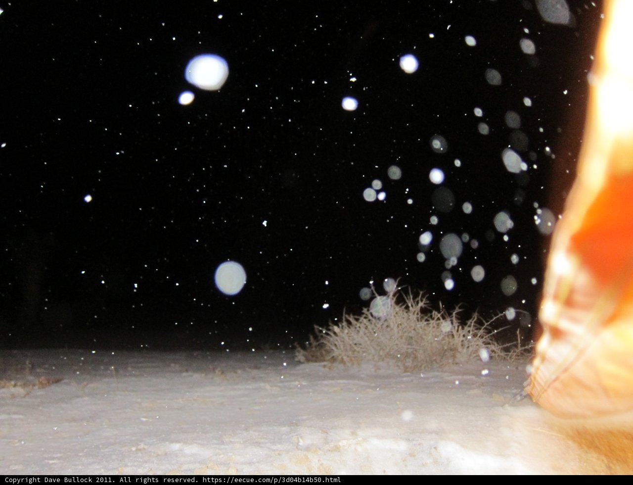 Winter's Blizzard