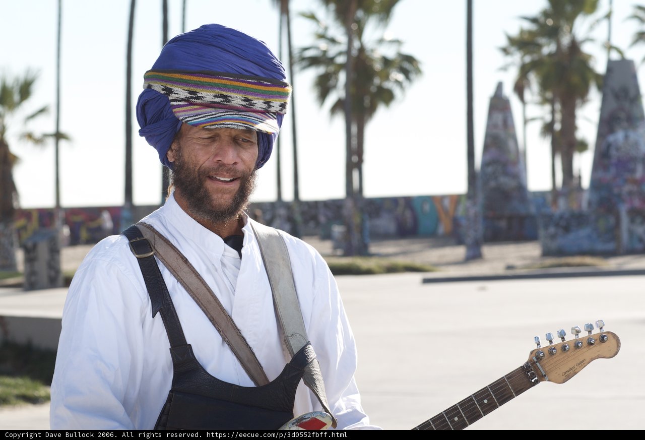 Turbaned Musician Amidst Palm Trees