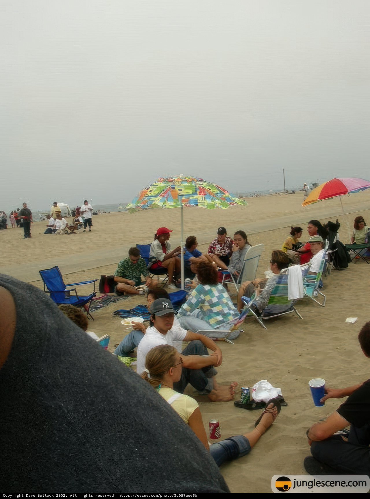 Summer Fun at the Beach