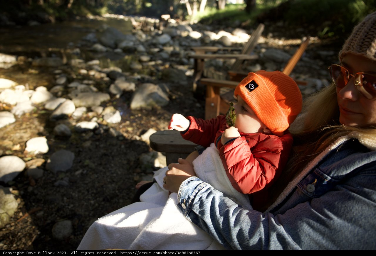 Serenity by the Stream: An Adventure in Big Sur