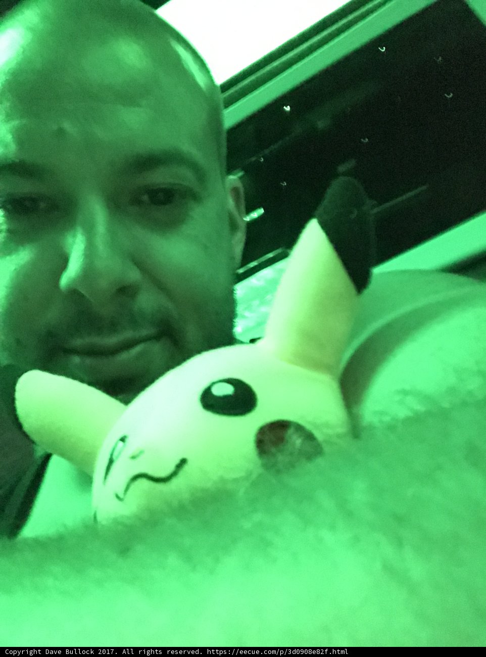 The Soft and the Bald