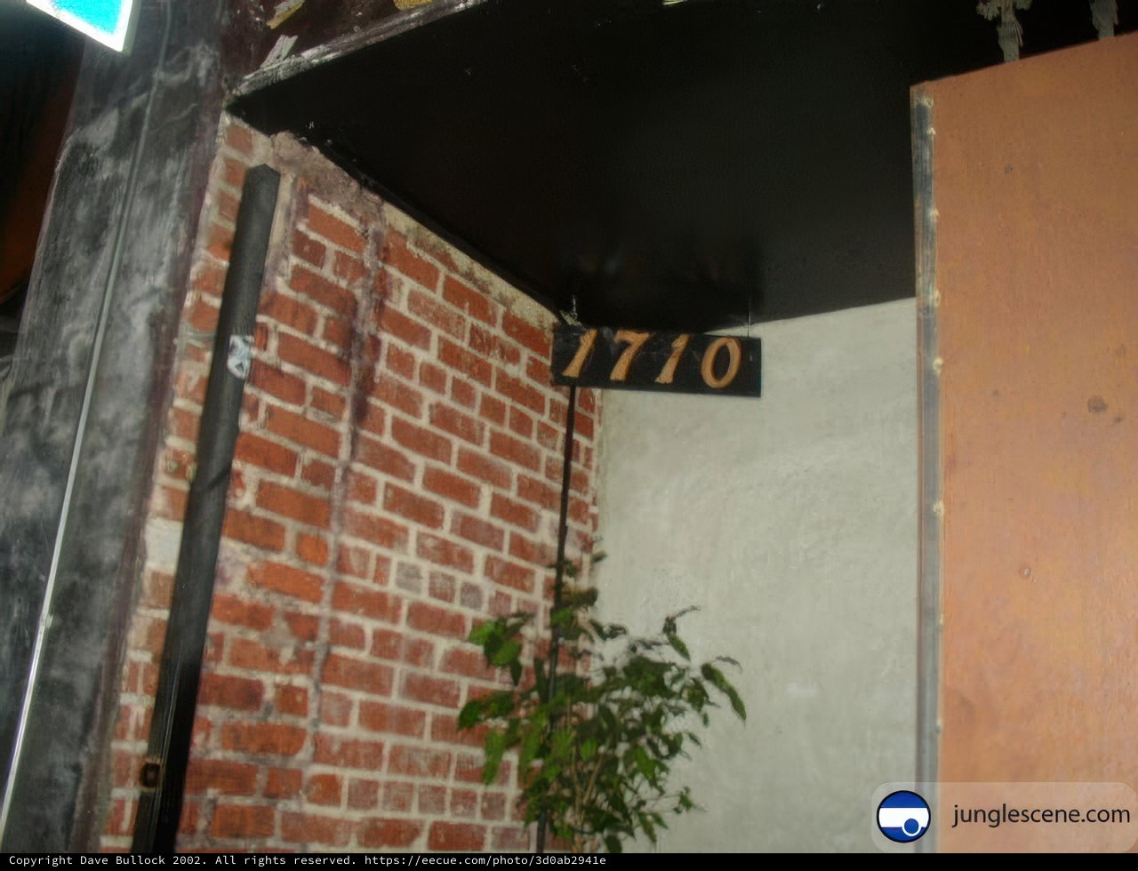 Brick Building with Potted Plant