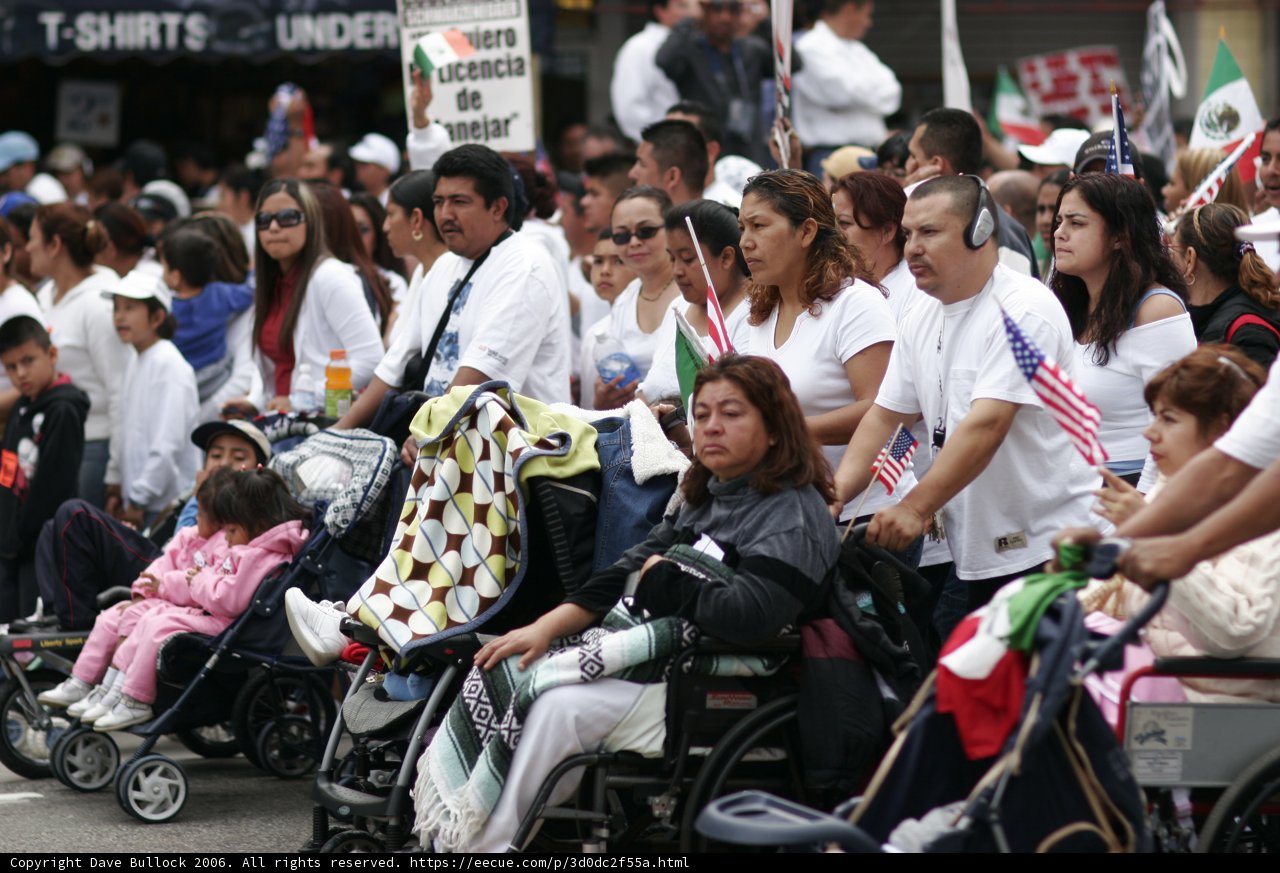 Inclusion on Display