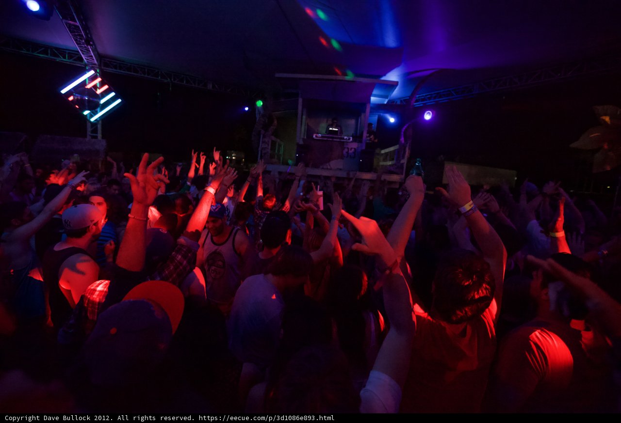 Electrifying Nightlife Experience