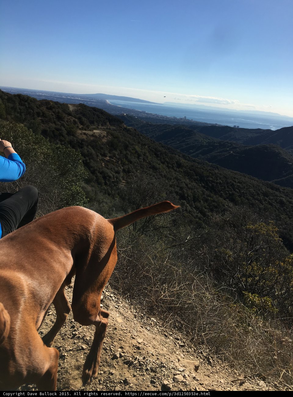 Evening Return Trail