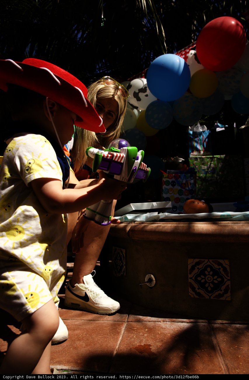 A Little Cowgirl's Birthday Joy