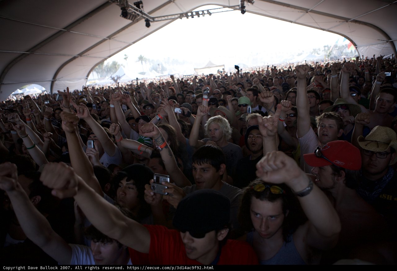 The Pulse of the Concert
