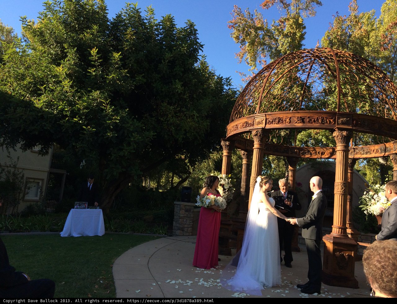 A Classy Wedding in the Park