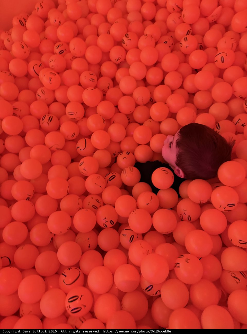 Immersed in Sphere Serenity