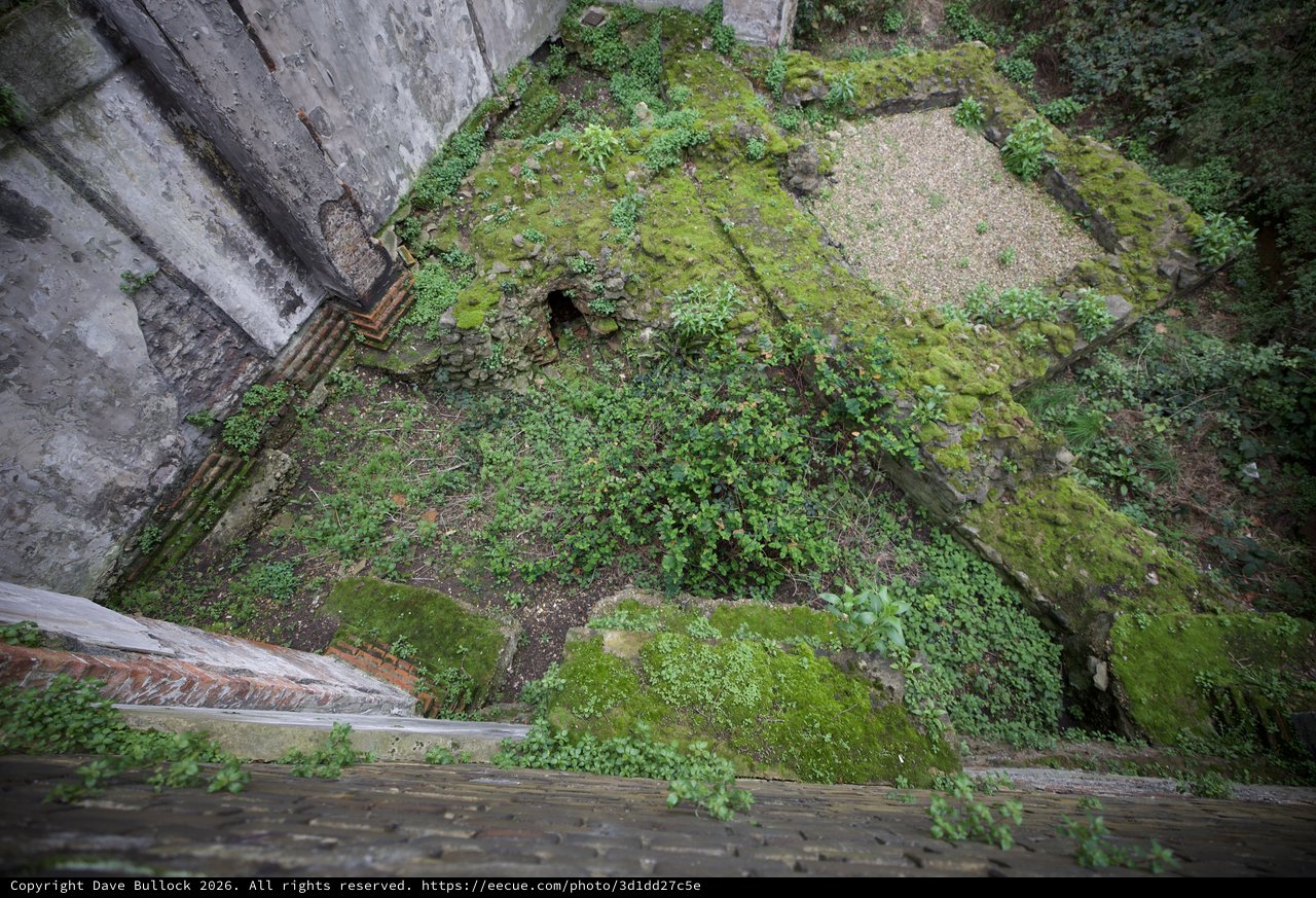 Overgrown Courtyard of Abandoned Historical Building