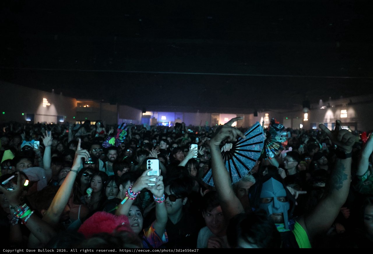 Massive Crowd Erupts at Wobbleland 2026 Festival