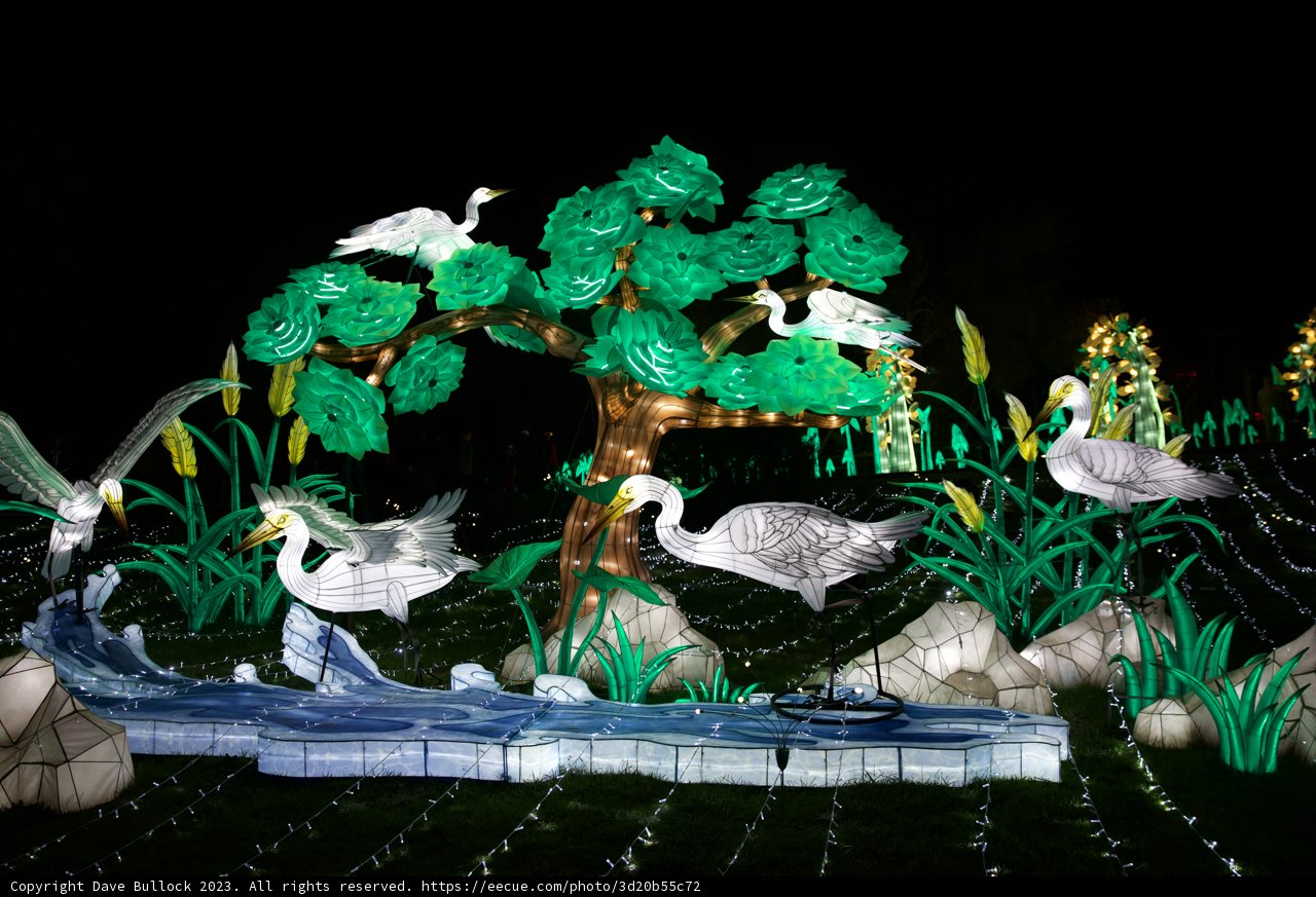 Enchanting Night at Glowfari Oakland Zoo, 2023