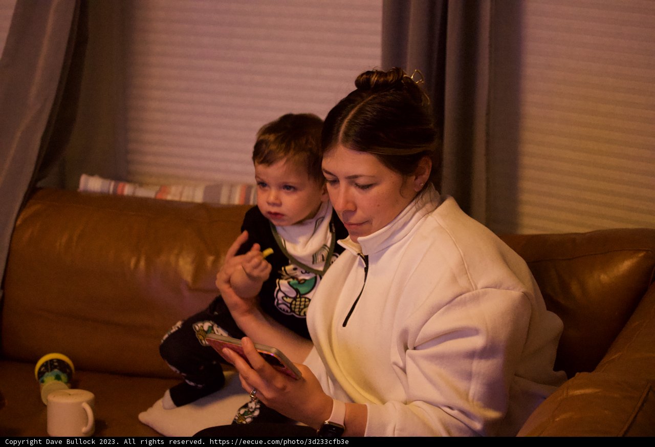 Heartwarming Moments at Home