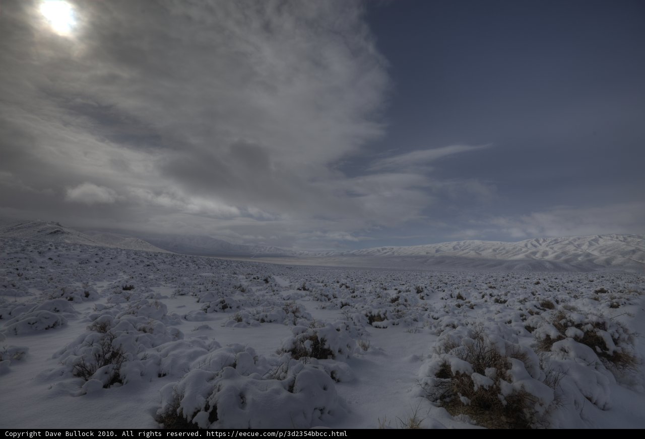 Majestic Winter Wonderland