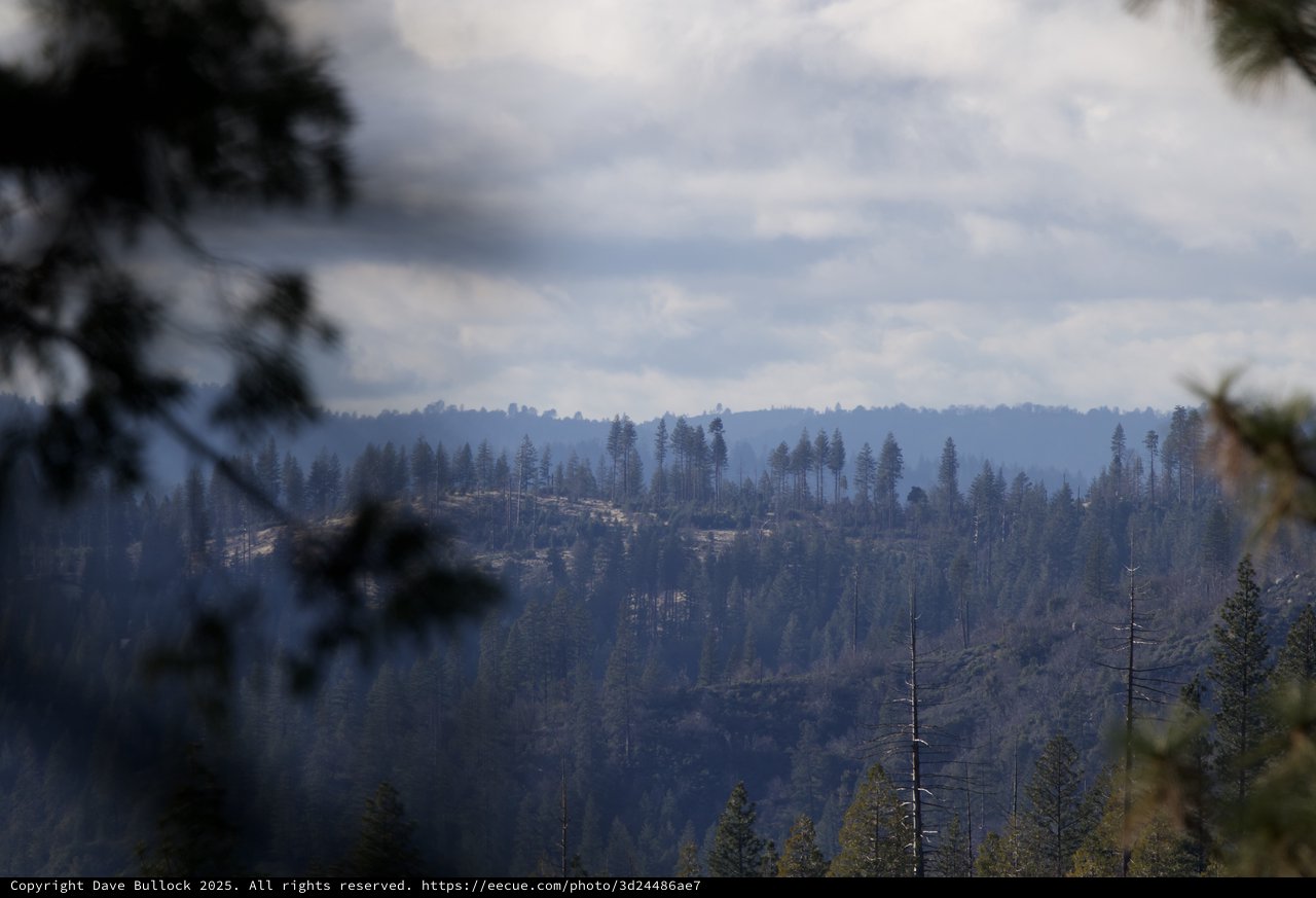 Smoke Drifts Over Burned Forest Ridgeline