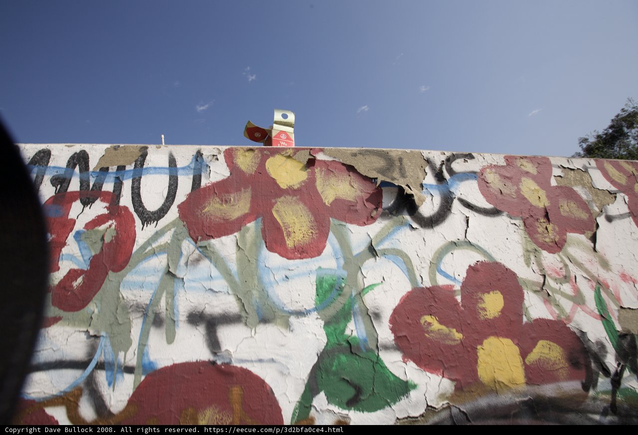 Colorful Graffiti Wall with Flowers and Sign